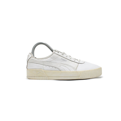 Puma Carina L