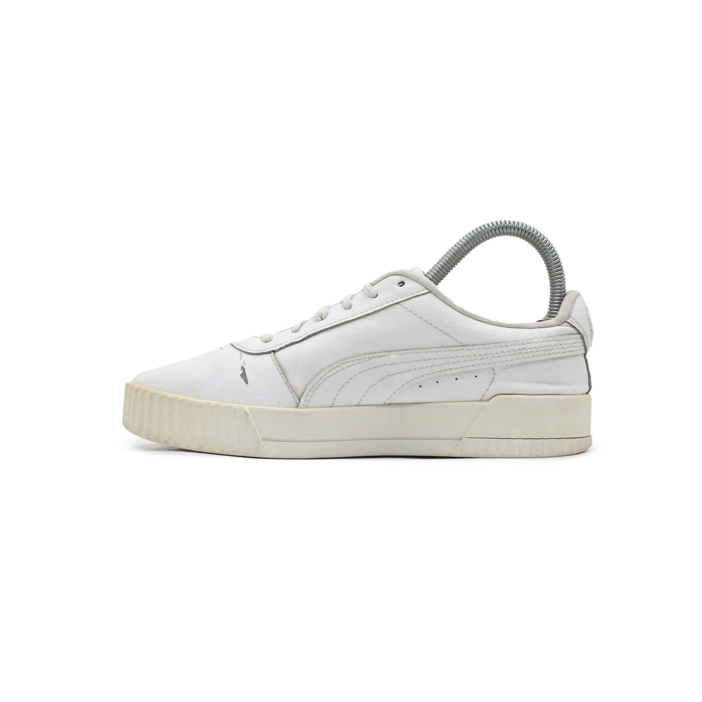 Puma Carina L