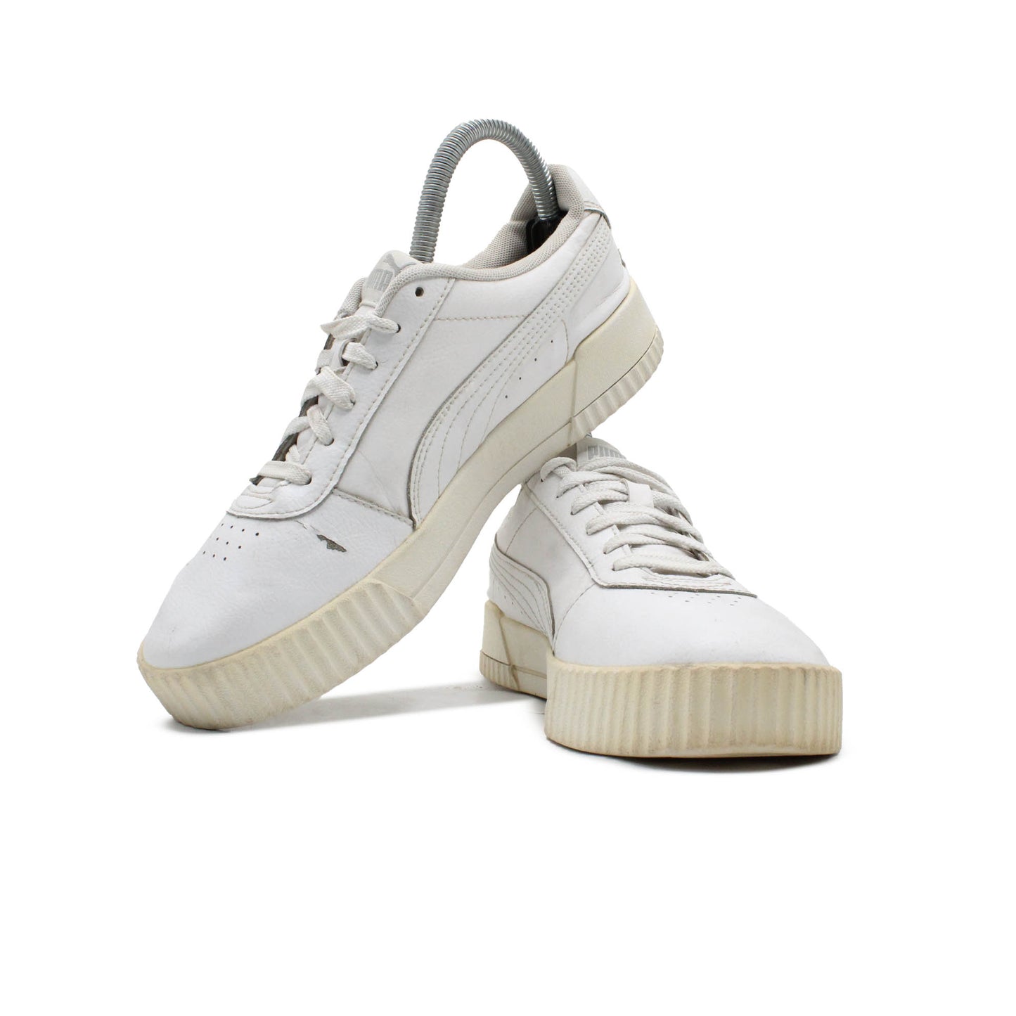 Puma Carina L