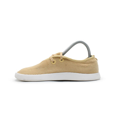 Allbirds Tree Skipper