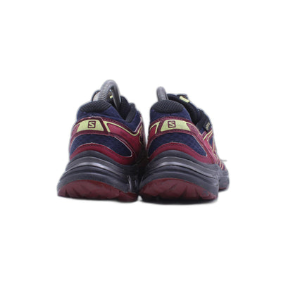 SALOMON WINGS ACCESS GTX SHOE